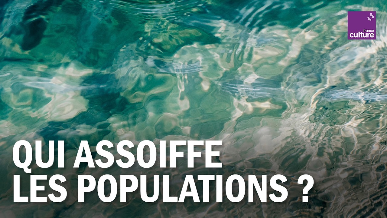 80 % DU TERRITOIRE EN RESTRICTION D'EAU