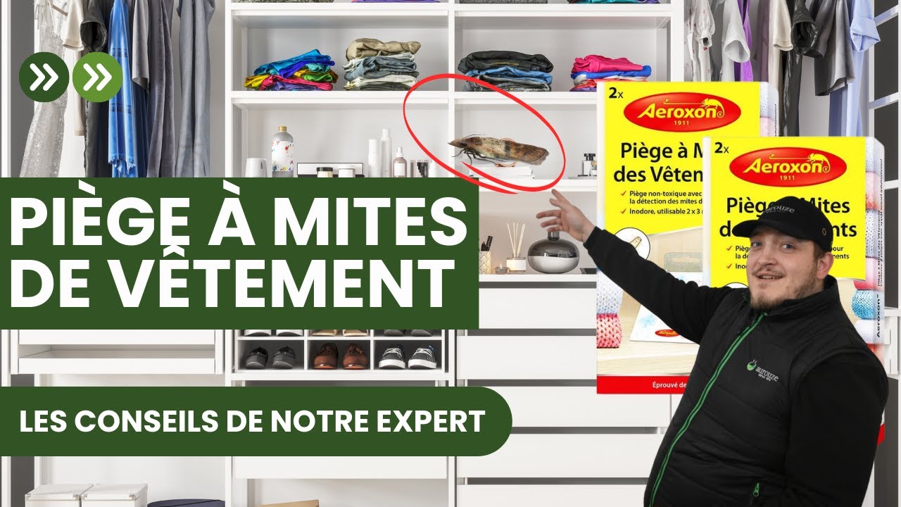 Plus de  mites vestimentaires grâce à ce piège à base de phéromones ! 💥