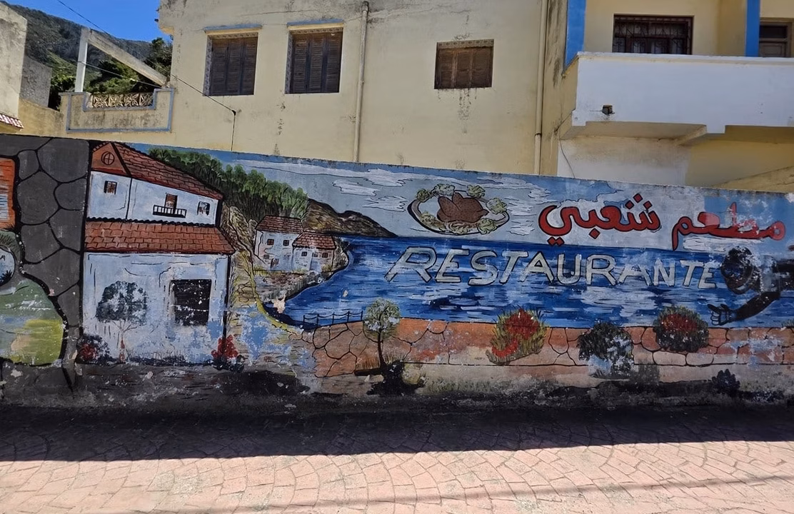 Pothos argenté : culture, entretien et conseils